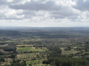 IMG_4440 (Medium)